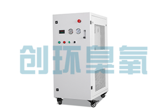 阜新石斑鱼养殖水质调控完整指南：臭氧发生器配置与操作步骤