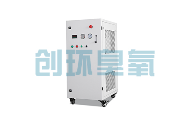 阜新比传统换水更高效？臭氧发生器在石斑鱼养殖中的水质净化原理解析